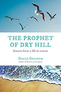 The Prophet of Dry Hill