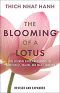 The Blooming of a Lotus