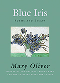 Blue Iris