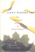 Lost Woods